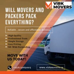 Will movers and packers pack everything?